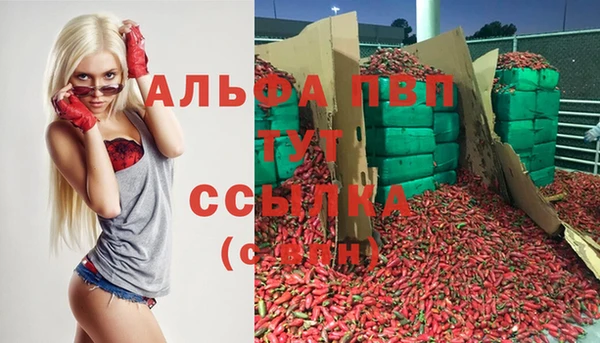 альфа пвп Бородино