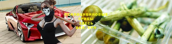 альфа пвп Бородино