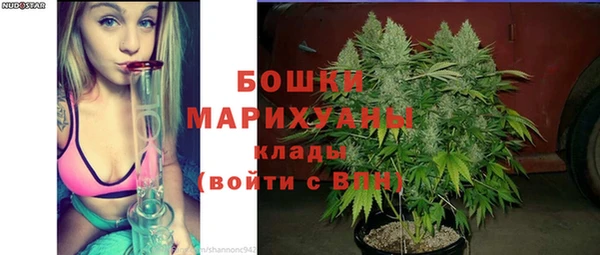 альфа пвп Бородино
