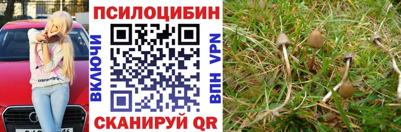 наркота  Ставрополь  blacksprut как зайти  Галлюциногенные грибы GOLDEN TEACHER 