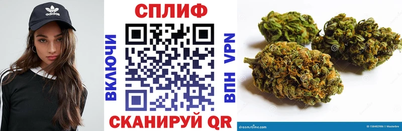 Бошки Шишки план  Ставрополь 